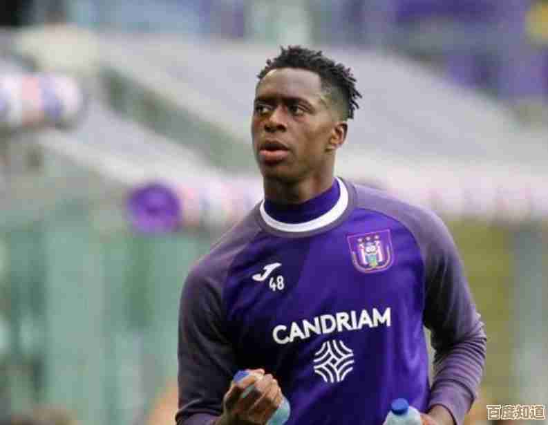 国家电网充电桩加盟计划，携手共建绿色出行新生态