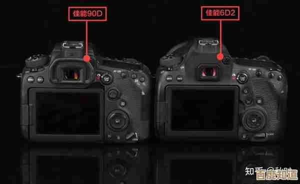 数码相机 vs 单反相机：功能、性能与使用体验的详细对比