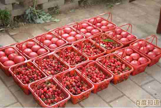 联众世界游戏大厅：畅享多样游戏乐趣，开启专属娱乐之旅！