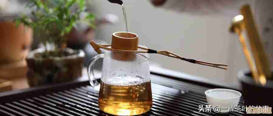 手机QQ空间:珍藏生活点滴,分享每一刻温馨回忆 手机QQ空间:珍藏生活点滴,分享每一刻温馨回忆