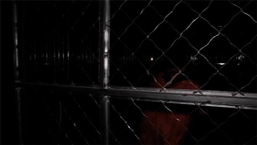 畅享《第五人格》惊悚求生玩法，下载体验沉浸式对决的刺激与挑战！