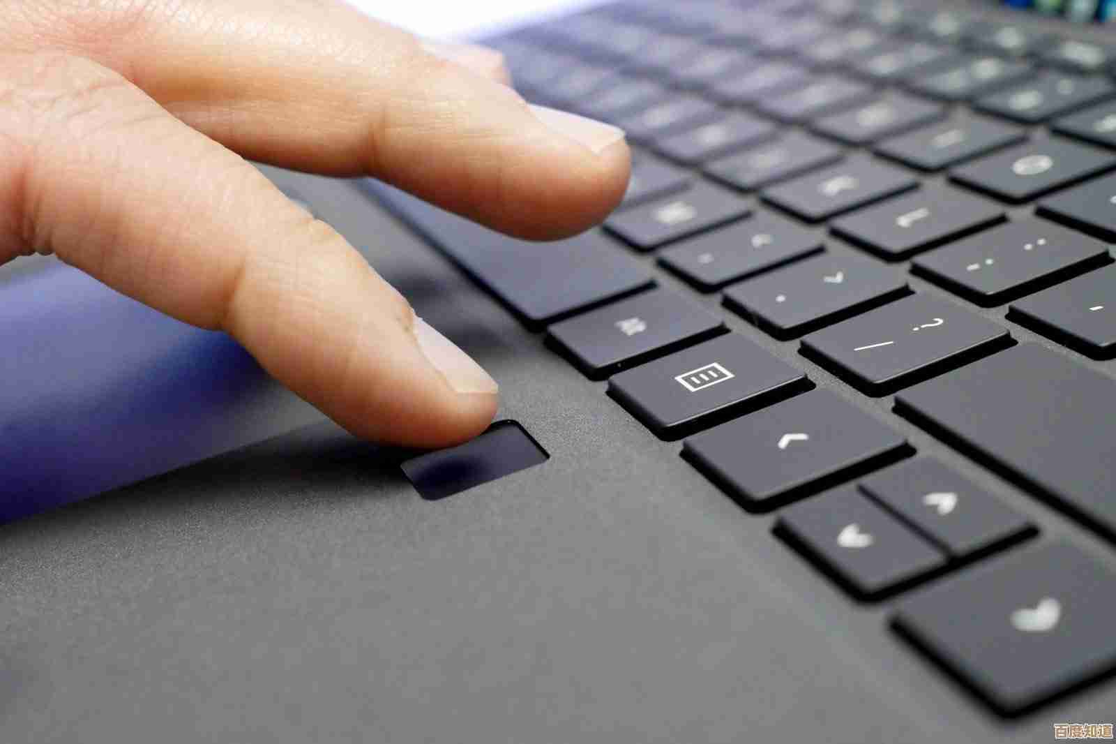 Windows 11指纹识别功能缺席引发用户数据安全担忧