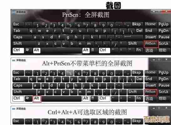 掌握电脑截图高效技巧：详细步骤与实用指南分享