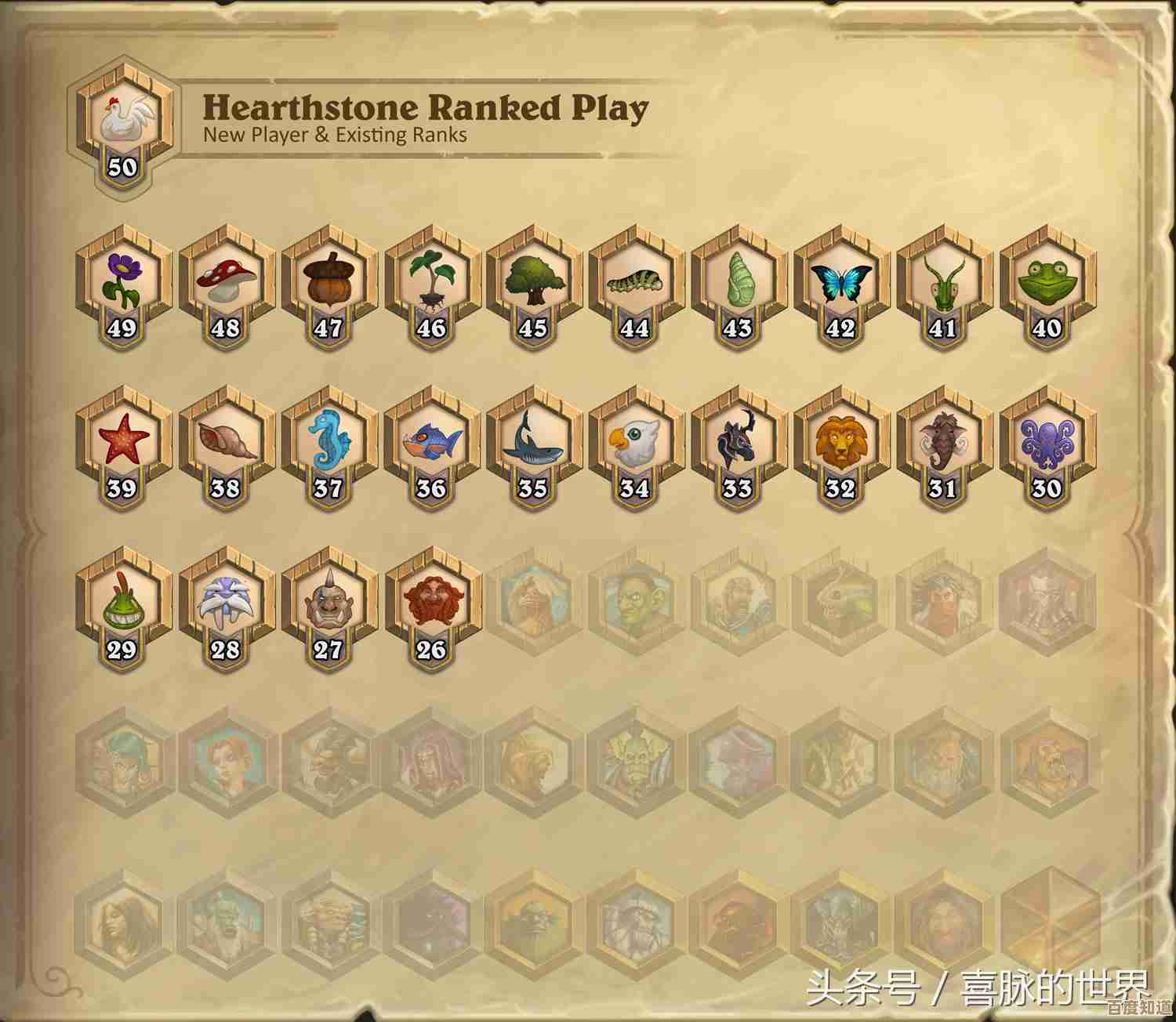 摄影器材天梯等级全览：从入门到专业的相机综合评估