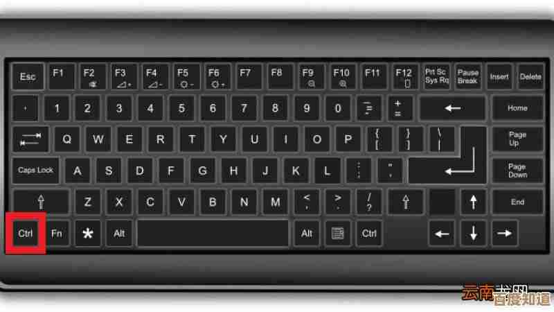 全选快捷键的具体操作方法和使用技巧分享