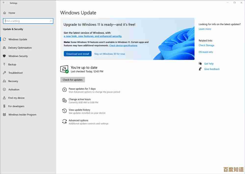 期待已久的Windows 11更新现已到来，全新界面与性能提升全面解析！