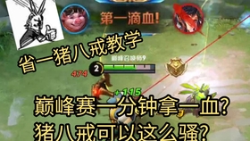 奇葩战斗家水管配件搭配攻略，平民省钱流和神豪笑着玩