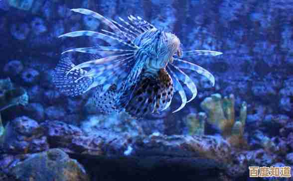 说真的，你知道哪种海洋鱼类以大嗓门著称，会把海浪都盖过去吗
