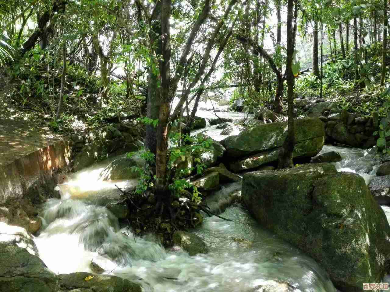 奇幻森林岛入坑那些坑和资源分配，先做这几件事.