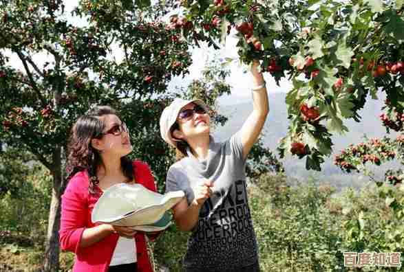 安装淘宝应用，畅享智能购物新体验，省时高效更轻松