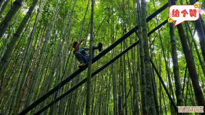 夺笋之争愈演愈烈：竹林生态平衡面临严峻挑战
