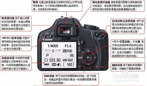 什么是单反?详细解读单反相机的特点及其在摄影领域的应用 什么是单反?详细解读单反相机的特点及其在摄影领域的应用