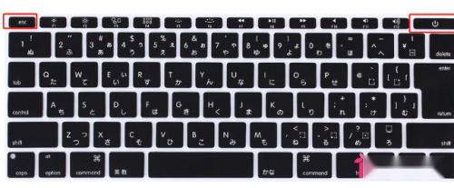 解决戴尔电脑黑屏的九步按键指南：快速恢复屏幕显示