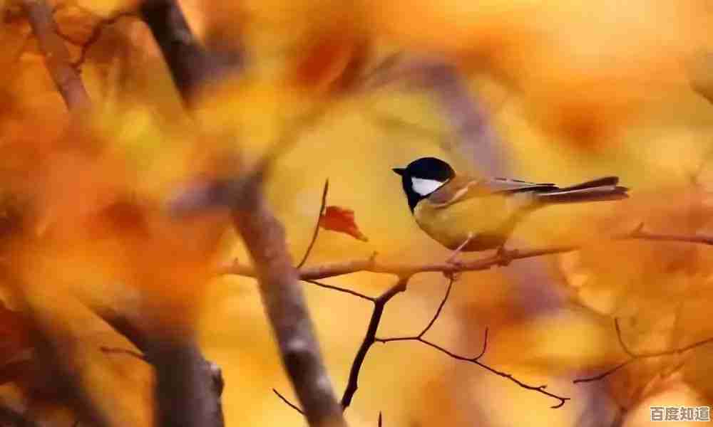 让小鸟壁纸装点你的屏幕,每日呈现自然之美与灵动生机尽收眼底 让小鸟壁纸装点你的屏幕,每日呈现自然之美与灵动生机尽收眼底