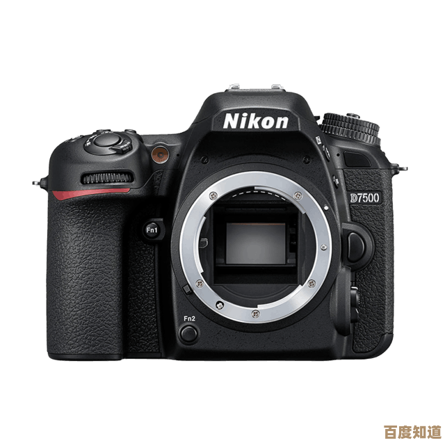 深入了解单反相机：类型特点及选购指南