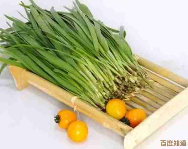 星露谷物语里韭菜到底值不值种?产量卖价还有料理用处随便说说… 星露谷物语里韭菜到底值不值种?产量卖价还有料理用处随便说说…