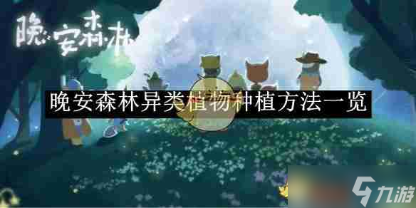 晚安森林兑换码怎么用—简略步骤和常见坑你先看 晚安森林兑换码怎么用—简略步骤和常见坑你先看