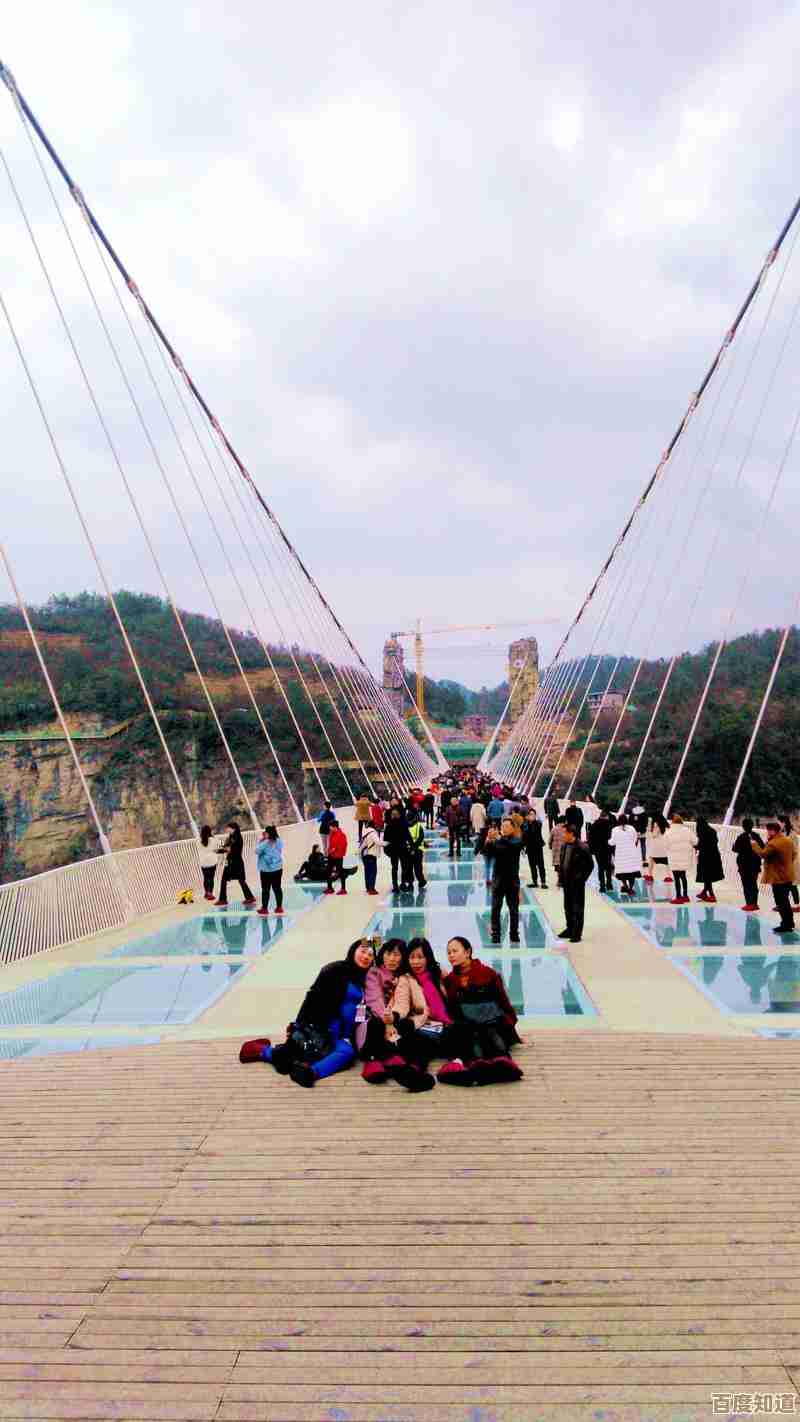 摄影装备天梯全览:从入门到专业的相机选购宝典 摄影装备天梯全览:从入门到专业的相机选购宝典