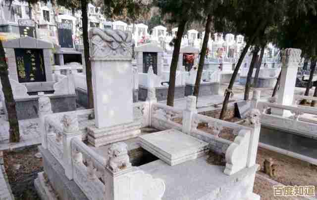 手机照片误删别慌张，专业数据恢复指南助您轻松找回珍贵瞬间