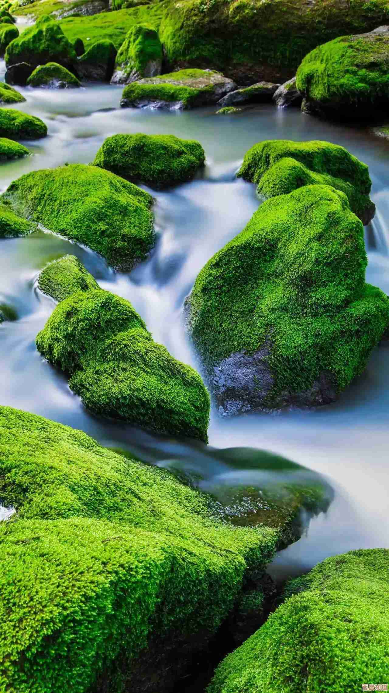 惊艳视觉盛宴!精选手机壁纸美图,点亮你的屏幕艺术 惊艳视觉盛宴!精选手机壁纸美图,点亮你的屏幕艺术