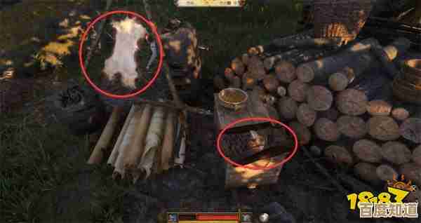 天国 拯救2里鹿皮到底哪儿刷，野外蹲点与交易小窍门