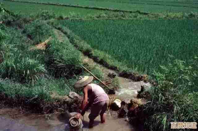 遇到iPad无法充电？跟随小鱼轻松掌握故障排除与自救技巧