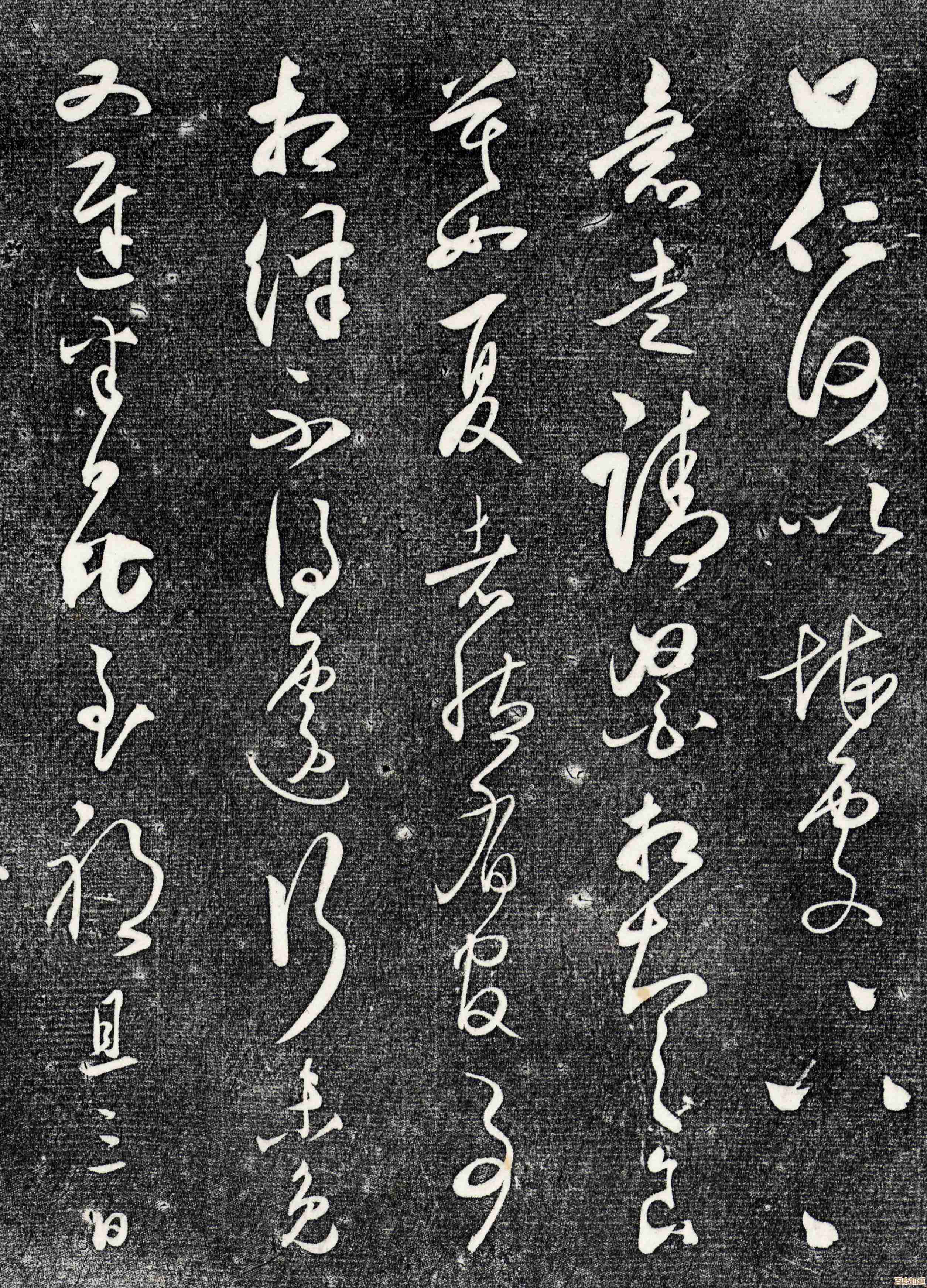 尽情挥洒节奏，舞出生命的活力与自由！