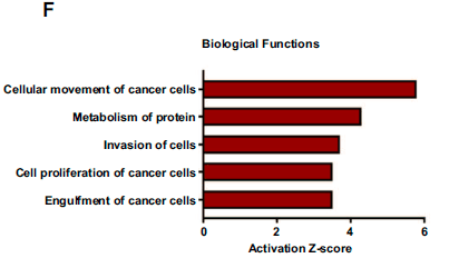 探索驱动蛋白在细胞机制中的核心作用与解密过程 探索驱动蛋白在细胞机制中的核心作用与解密过程