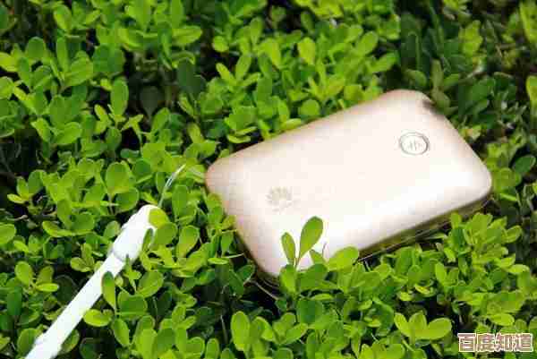 畅享百度网盘无忧下载，海量文件轻松一键获取！