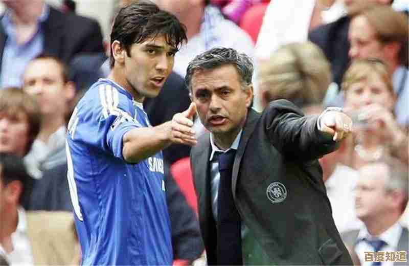 王者荣耀哪个职业好，先别急，我把常见职业优缺点随便说说