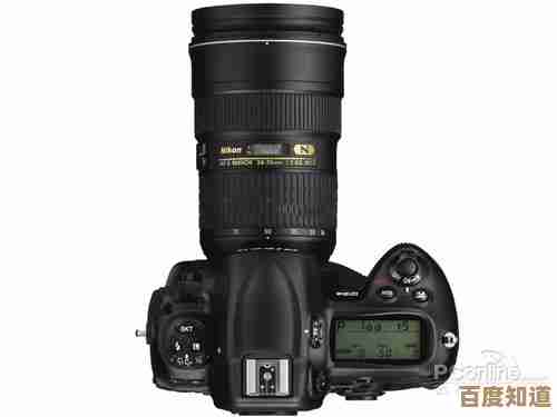 尼康相机天梯图全解析:从入门到专业,轻松挑选你的理想拍摄装备! 尼康相机天梯图全解析:从入门到专业,轻松挑选你的理想拍摄装备!