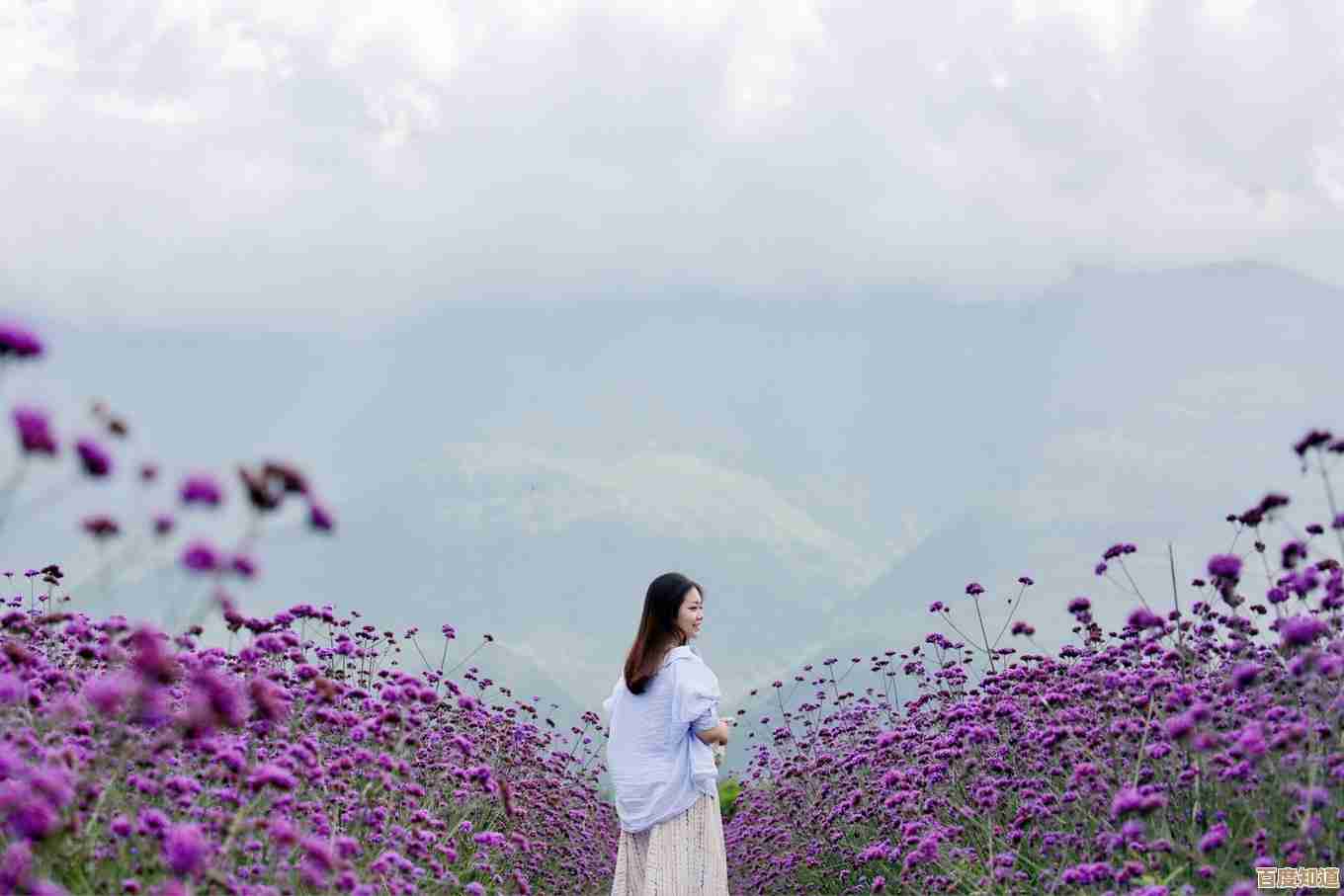 车载处理器天梯图：驱动智能驾驶技术演进的关键路径