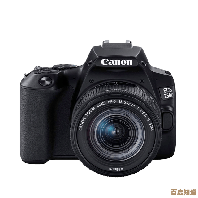 探索佳能相机天梯排名：优选设备助您步步进阶，成就摄影大师之路