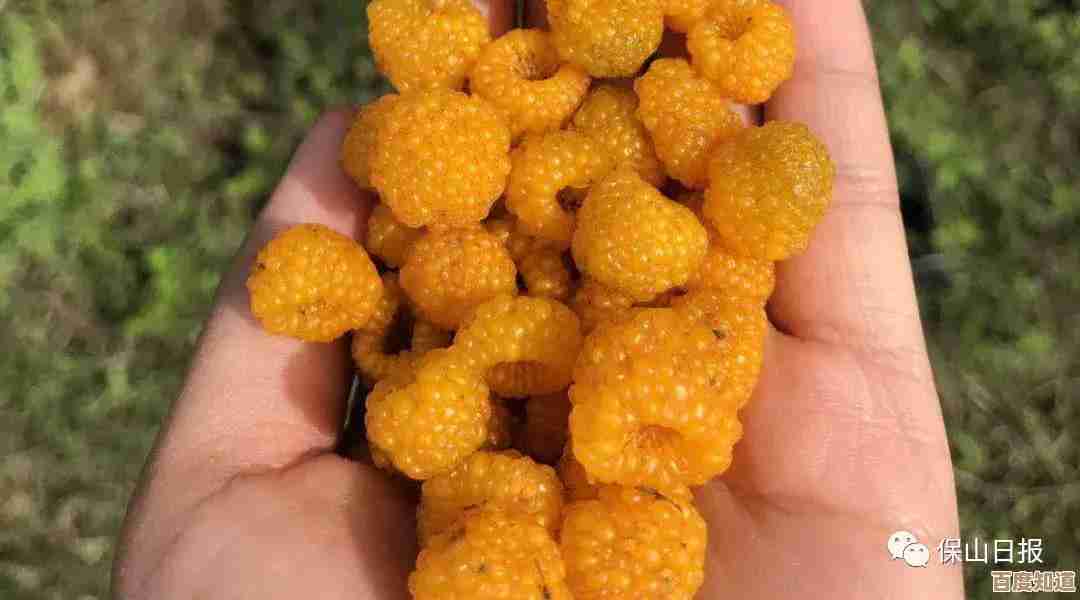 童年趣味游戏大集合—记不全也要踩点回忆 童年趣味游戏大集合—记不全也要踩点回忆