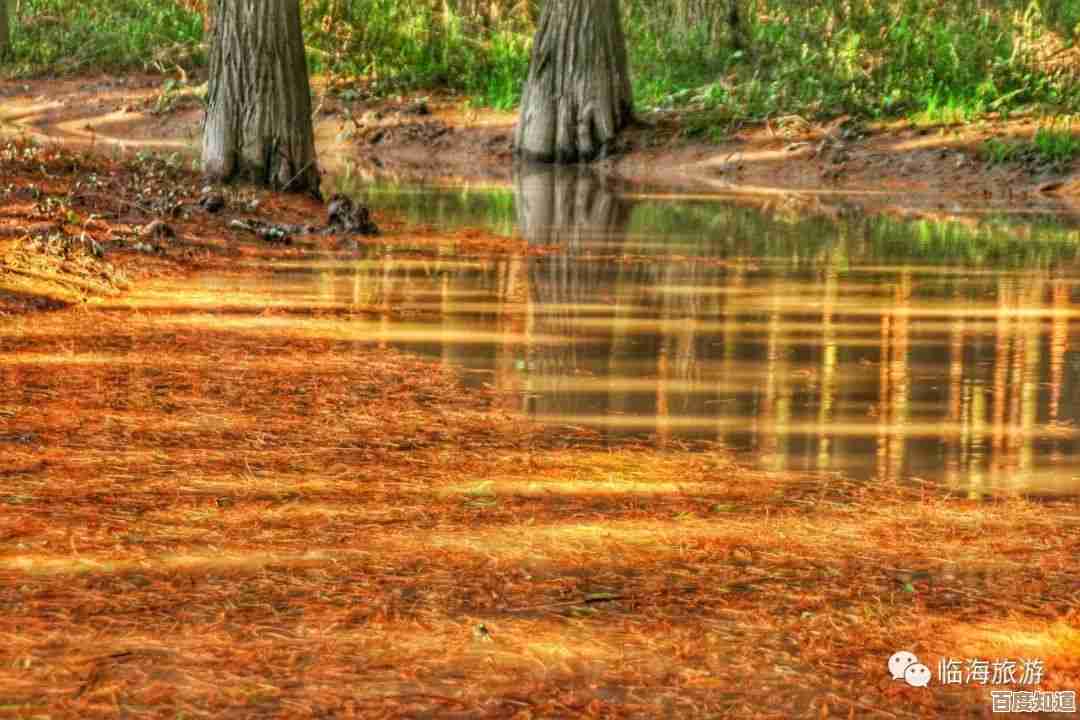 雨林秘境探幽：揭开热带雨林神秘面纱与生态奇观