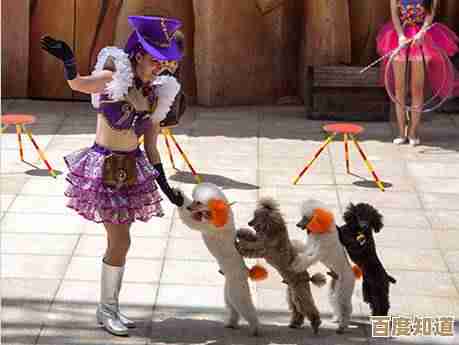 心动小镇手游马尔济斯可露丽食谱哪里掉、怎么搞到的那些碎碎念