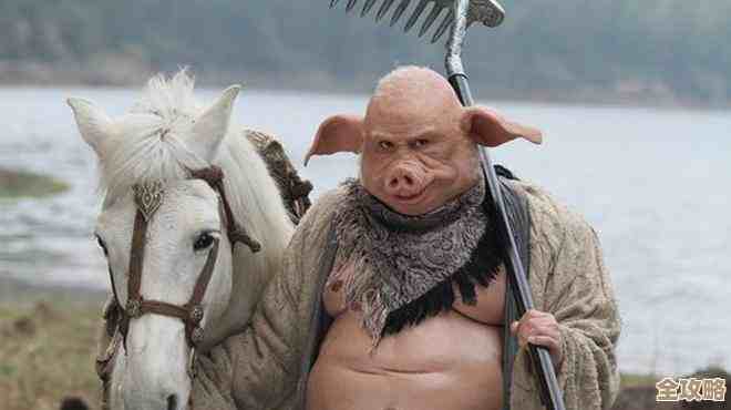 Windows 11 不同版本核心差异及适用场景全解析 Windows 11 不同版本核心差异及适用场景全解析