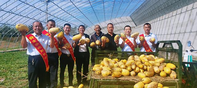 深耕乡村金融服务，山东农信助力农民增收与农村经济繁荣