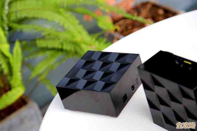 路由器密码遗忘后的详细重置步骤与操作指南