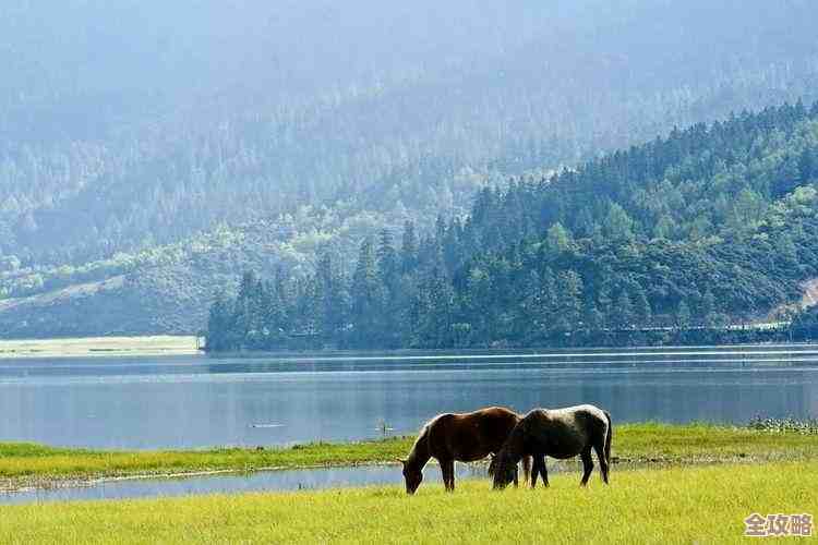 手机拍月亮全攻略：优化参数设置，让你的月景照片更加出色动人
