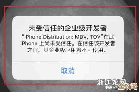 如何有效处理未获信任的企业开发者权限问题 如何有效处理未获信任的企业开发者权限问题