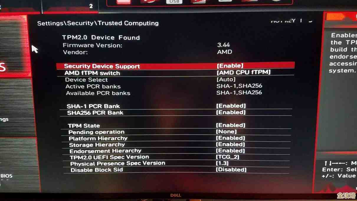 AMD CAD用户升级Windows 11：性能优化与兼容性全面解析