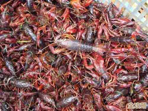 详解电脑安全模式多种进入方法及实用技巧