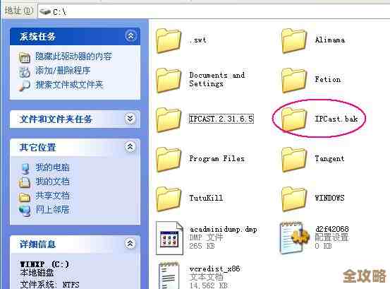 备份文件.bak打开方法大全：从工具选择到操作流程