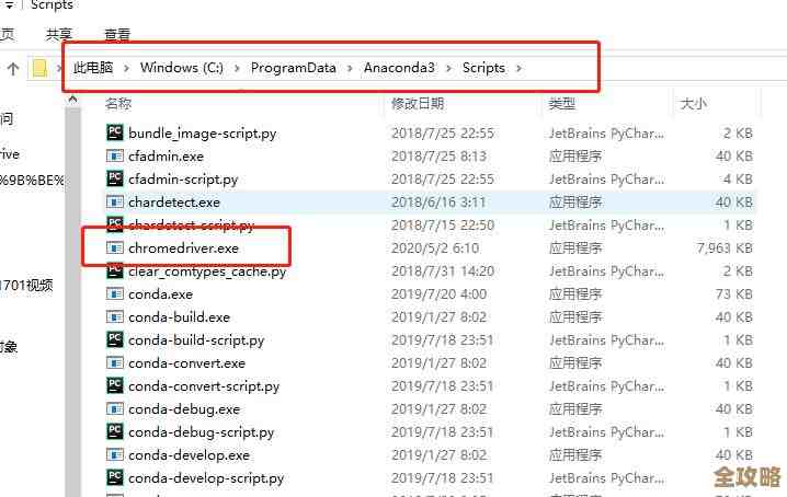 谷歌浏览器官方下载渠道，全方位体验流畅上网新境界