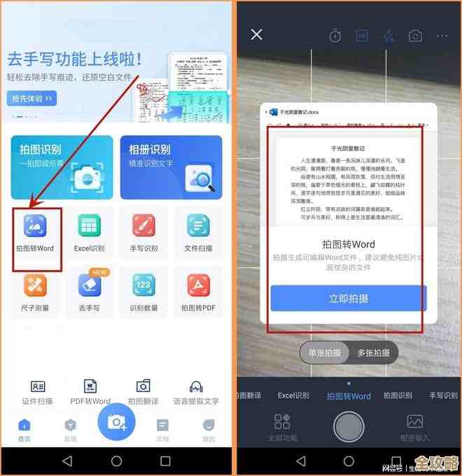 精选多款SWF文件打开工具，满足不同用户需求