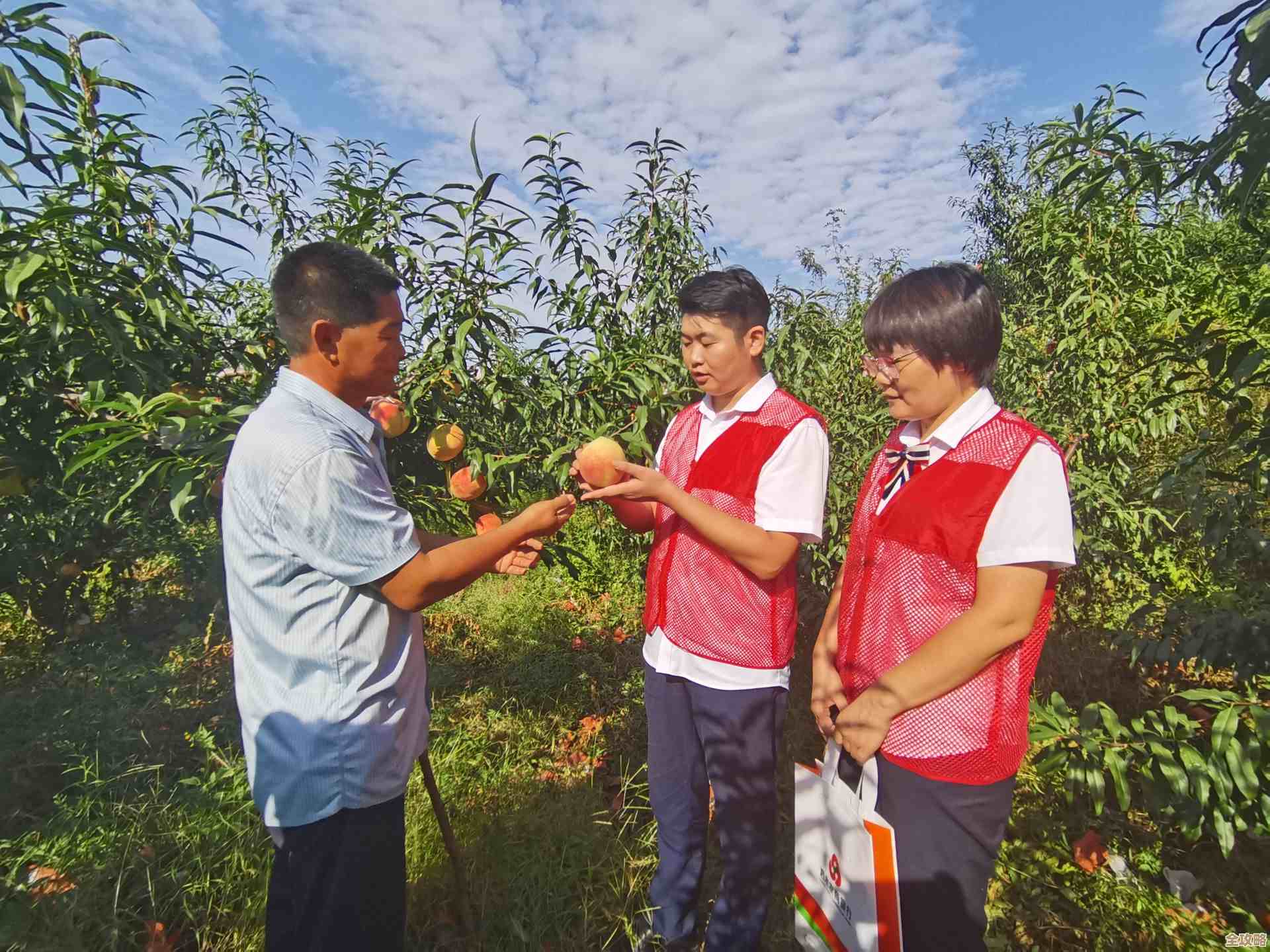 山东农信：创新服务模式，全面支持农村产业升级与民生改善