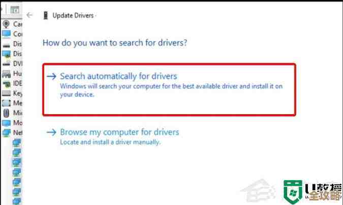 Win11系统下显卡驱动不兼容问题的实用解决方案