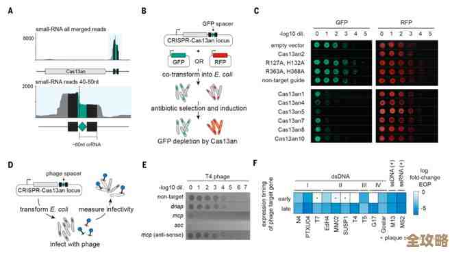 全面解析苹果处理器性能天梯图，揭示芯片强劲实力与架构创新