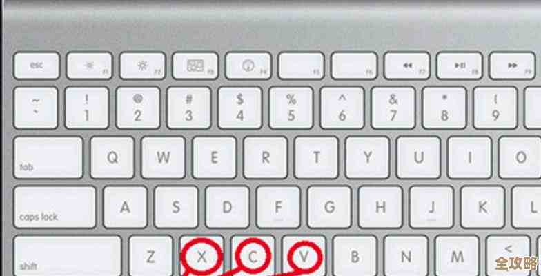 掌握复制粘贴快捷键：办公效率提升的关键技巧揭秘